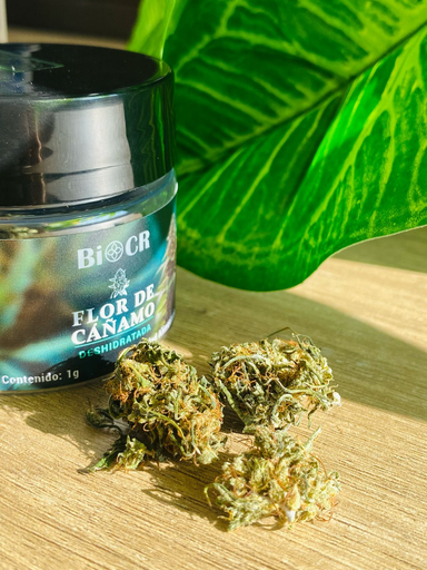 Biocr-Flower Mountain Mango  CBD - 1g 