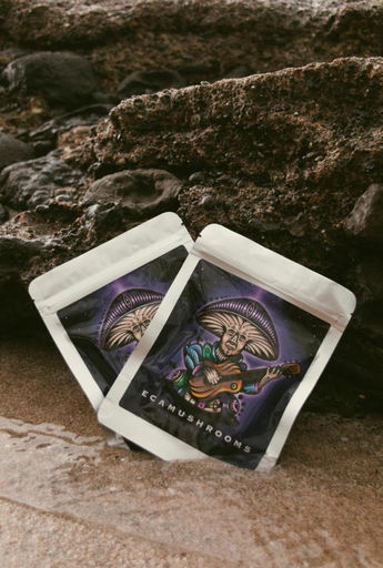 Mushroom - Chocolate