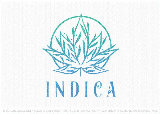 INDICA CR